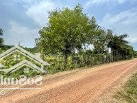 Bán 1 Hoặc 2 Miếng Đất Vườn Nằm Cạnh Nhau Bên Sông Sài Gòn - Mặt Tiền Đường 12M - Có Thổ Cư 90 M2
