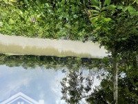 Bán 1 Hoặc 2 Miếng Đất Vườn Nằm Cạnh Nhau Bên Sông Sài Gòn - Mặt Tiền Đường 12M - Có Thổ Cư 90 M2