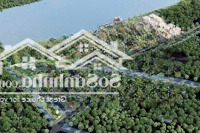 Chính Chủ Gửi Bán Suất Ngoại Giao Phú Thị Reverside Dự Kiến Hơn 9 Tỷ