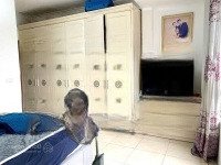 Bán Nhà Mặt Phố Hồ Ba Mẫu, Đống Đa 82M2X6 Tầng Thang Máy, Kinh Doanh Ô Tô Tránh Đậu Chỉ 46 Tỷ