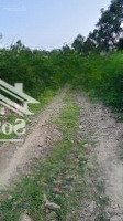 Bán 20476.1M2 Đất Đường Đắc Lộc, Xã Vĩnh Phương, Nha Trang Giá 400 Ngàn/M2