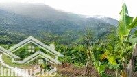 Bán 20476.1M2 Đất Đường Đắc Lộc, Xã Vĩnh Phương, Nha Trang Giá 400 Ngàn/M2