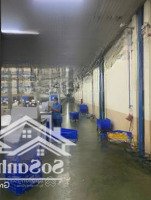 Bán Gấp Nhà Xưởng Tiêu Chuẩn Quốc Tế 22.495M2 Chủ Đầu Tư Nước Ngoài Cần Chuyển Nhượng Nhanh Chóng