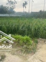 Đất Vuông Diên Tích Nhỏ Tài Chính Chỉ Nhỉnh 2 Tỷ
