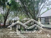 Bán Bungalow Resort Cúc Phương Ninh Bình Dtđất 180-240M, 4 Phòng Ngủ, Giá Bán 2.5 Ty/Căn Liên Hệ: 0983339915