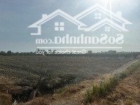 Bán Đất Chính Chủ, Đường Lớn Khu Vực Gò Công, Tiền Giang