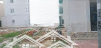 Bán Đất Phú Lợi, Thủ Dầu Một, Bình Dương, 800 Triệu, 120 M2, Hàng Hiếm Tại Đẹp