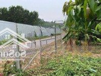 Đất Cần Bán Gần Chợ Lái Thiêu, Đ. Phó Đức Chính, Lái Thiêu, Thuận An, 102M2 Shr, Full Thổ Cư