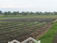Chủ Ở Xa Không Có Nhu Cầu Sử Dụng Bán Lại 1237M2 Đất Full Thổ Cư Xuân Phú, Xuân Lộc, Sổ Sẵn