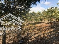 Bán 15X50M Đất Mặt Tiền Nhựa Đường Tỉnh 862 Biển Tân Thành, Gò Công Đông, Tiền Giang. Giá 2,5 Tr/M2