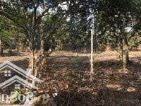 Bán 15X50M Đất Mặt Tiền Nhựa Đường Tỉnh 862 Biển Tân Thành, Gò Công Đông, Tiền Giang. Giá 2,5 Tr/M2
