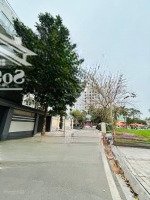Bán Biệt Thự Vườn Đào View Vườn Hoa Mặt Phố, Khu Vực Quan Chức 252M2 6 Tầng Thang Máy, Giá: 150 Tỷ