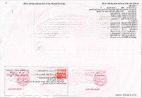 Đất Nền Dự Án Sổ Hồng Riêng Tân Hiệp, Tân Uyên, Giá Siêu Hấp Dẫn