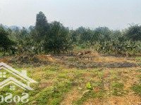 Chính Chủ Bán Gấp 4000M2 Đất Trong Đó Có 400M2 Đất Thổ Cư Tại Liên Sơn, Lương Sơn, Vị Trí Siêu Đẹp
