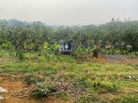Chính Chủ Bán Gấp 4000M2 Đất Trong Đó Có 400M2 Đất Thổ Cư Tại Liên Sơn, Lương Sơn, Vị Trí Siêu Đẹp
