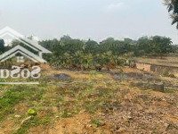 Chính Chủ Bán Gấp 4000M2 Đất Trong Đó Có 400M2 Đất Thổ Cư Tại Liên Sơn, Lương Sơn, Vị Trí Siêu Đẹp