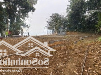 Cần Bán 840M2 Đất Tại Cư Yên, Lương Sơn, Hòa Bình