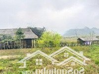 Tổng Diện Tích 7000M2 Đất Bhk View Cánh Đồng Tại Tú Sơn, Kim Bôi, Hòa Bình