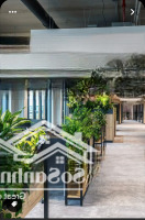Bán Nhà Mặt Tiền Trương Công Định, P.14, Tân Bình - 10X36M - Ctxd: Hầm + 7 Tầng - Giá Bán 50 Tỷ