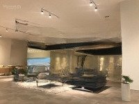 Cực Hiếm! Cho Thuê Nhà Mặt Phố Lê Văn Thiêm, Toà Building Thiết Kế 8 Tầng, Mặt Tiền 8M, Vị Trí Đẹp