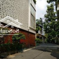 Cơ Hội Vàng Bán Biệt Thựdiện Tích9X20M Hẻm 10M Đường 3/2, P. 12, Quận 10 Giá Rẻ Không Ngờ