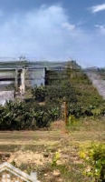 1516M2 Có Sẵn 400M2 Đất Ở, Khu Dân Cư, Đường Bê Tông Ô Tô, Cách Ql 800M. Sổ Đỏ