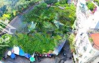 Bán Nhà Hẻm Thông 6M Hoàng Sa, Q. 3, 8X20M, 160M2, 21 Tỷ Tl, Khu Chuyên Chdv