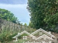 Bán Đất Thổ Cư 250M2 Đường Nhựa 19M Ngay Đt753 Đi Vào Giá Bán 195 Triệuiệu