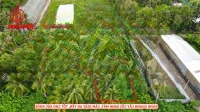 Đất Ngô Thi Sĩ, Phường An Bình, Lộ 3M Ô Tô Tới Đất, 17X48M, Thổ Cư, Sổ Hồng, Thích Hợp Làm Nhà Vườn