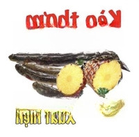 Bán Nhà Mặt Tiền Đường Bùi Hữu Nghĩa Phường Tân Vạn Biên Hòa