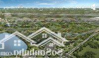 Căn 1 Phòng Ngủrẻ Nhất Masteri Lakeside Giá Tts Chỉ 2.78Tỷ - Vinhomes Ocean Park 1