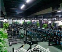 Siêu Khan Hiếm! Bán Tòa Nhà Mặt Tiền Quang Trung, Hầm 7 Tầng(11 X 29M),Hđt 350 Triệu/Th, Chỉ 52 Tỷ