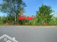 Bán Đất Mặt Tiền Kinh Doanh Trần Quang Đạo (10Mx40) Thổ Cư Sổ Riêng - Gần Hương Lộ 2 Tân Thông Hội