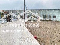 Hàng Hiếm, Nền Thổdiện Tích10X14,5M (142,5M2)Mặt Tiềnliên Ấp, Xe 16C Vào, Ngay Kcn Thuận Đạo, Giá Bán 1 Tỷ 570