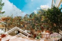 Bán Biệt Thự View Đẹp Đường Đặng Thái Thân, Phường 03, Tp Đà Lạt