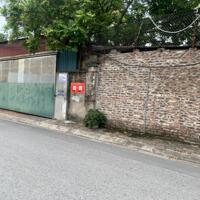 Bán 116m đất mặt đê Tư Đình Bát Khối Long Biên, gần cầu Trần Hưng Đạo, phù hợp kinh doanh,văn phòng