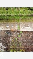 Bán Nền Đường Số 6, Khu Đô Thị Cửu Long, Phường Long Hoà , Bình Thuỷ, Cần Thơ 60M2 Giá Bán 1,65 Tỷ Vnd.