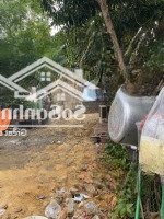 Sở Hữu Ngay Đất Kiệt Hiếm Có Tại Nguyễn Công Hoan, Hoà An, Cẩm Lệ!