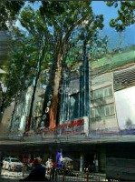 Siêu Vị Trí- Giá Cực Tốt ! Mặt Tiền Bạch Đằng, P2, Tân Bình. 4X18M(72M2) - 5 Tầng Chỉ 16,5 Tỷ Tl
