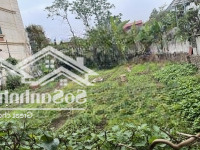 Cổ Điển _Hải Bối _Đông Anh 250M2 Đất _Mặt Tiền Siêu Đẹp 18M = Hậu . Ô Tô 7 Chỗ Vào Đất