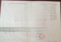 Siêu Phẩm Đầu Ngõ 81 Tân Thành Mặt Đường Nhựa