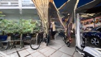 Cho Thuê Mặt Tiền Tống Hữu Định, Quận 2. Biệt Thự Sân Vườn 4 Tầng, Ngang 10 X 37M. Hd Lâu Dài