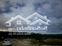 Chính Chủ Bán 498M2 Đất Gần Trục Chính Bãi Dài, Cam Ranh. Đi Bộ Qua Đường Là Bãi Tắm. Liên Hệ:0963926799