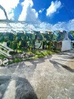 Lô Đất Sát Dự Án Vin Tại Hoà Nghĩa - Dương Kinh
