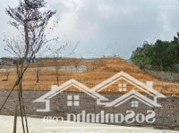 Chủ Cần Tiền Bán Gấp Lô Đất View Đẹp - Giá Tốt Nhất Khu Vực
