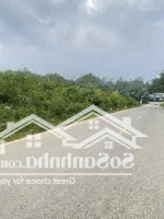 4500M2 Mặt Tỉnh Lộ 446 Cần Bán Tại Thạch Thất- Hà Nội Nhiều Thổ Cư