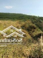 Bán Gấp Đất Thị Trấn Tân Hiệp Hóc Môn 4000M2 Đất Làm Nhà Ở Thổ Cư Phun 28M Mặt Tiền Hẻm 7M, 55 Tỷ