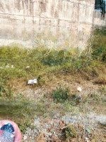 Bán Gấp Đất Thị Trấn Tân Hiệp Hóc Môn 4000M2 Đất Làm Nhà Ở Thổ Cư Phun 28M Mặt Tiền Hẻm 7M, 55 Tỷ