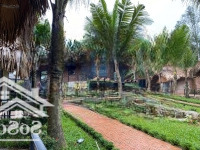 Bán Nhà Homestay May Tropical Ba Vìdiện Tích3638M X 3T Xmặt Tiền30M Giá Bán 20 Tỷ Có Thương Lượng