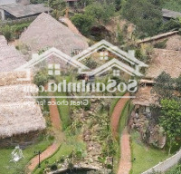 Bán Nhà Homestay May Tropical Ba Vìdiện Tích3638M X 3T Xmặt Tiền30M Giá Bán 20 Tỷ Có Thương Lượng